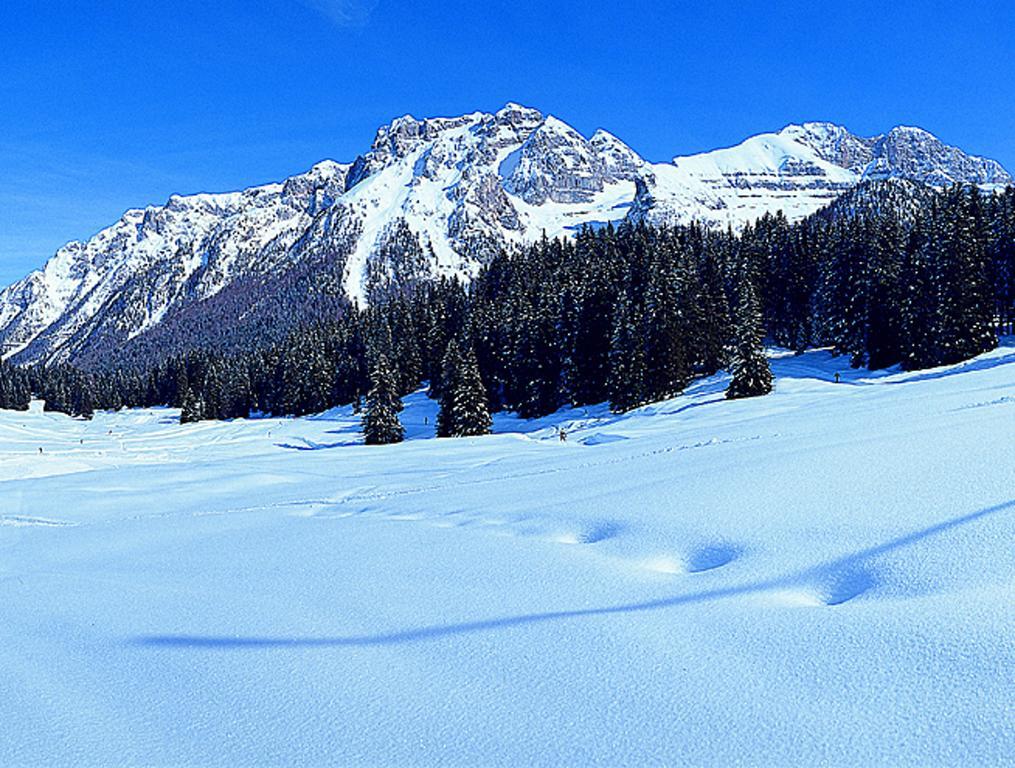 Campiglio Trilocale Monte Spinale Daire Madonna Oda fotoğraf